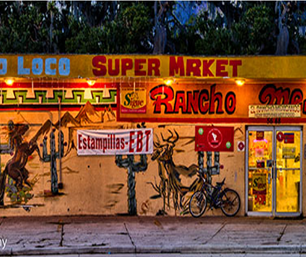 Wimauma Collection