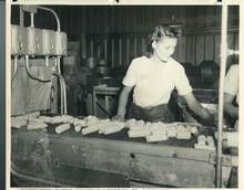 hccfl_1741-Thumbnail Image.jpg