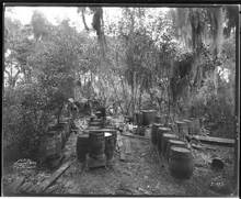 hccfl_1783-Thumbnail Image.jpg