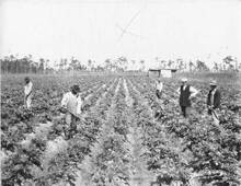 hccfl_1785-Thumbnail Image.jpg