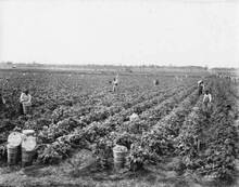 hccfl_1786-Thumbnail Image.jpg