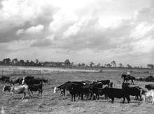 hccfl_1809-Thumbnail Image.jpg