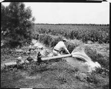 hccfl_1813-Thumbnail Image.jpg
