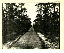 hccfl_1856-Thumbnail Image.jpg