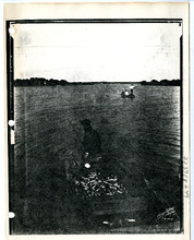 hccfl_1857-Thumbnail Image.jpg