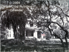 hccfl_1975-Thumbnail Image.png