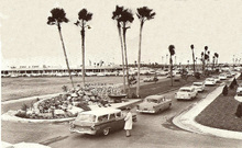 hccfl_1983-Thumbnail Image.jpg
