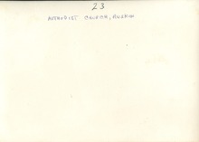 hccfl_1998-Thumbnail Image.jpg