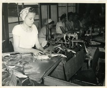 hccfl_2058-Thumbnail Image.jpg