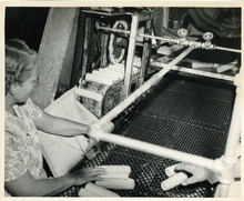 hccfl_2059-Thumbnail Image.jpg