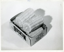 hccfl_2061-Thumbnail Image.jpg