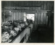 hccfl_2070-Thumbnail Image.jpg