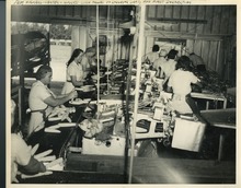 hccfl_2079-Thumbnail Image.jpg