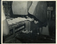 hccfl_2381-Thumbnail Image.jpg