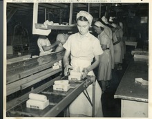 hccfl_2383-Thumbnail Image.jpg