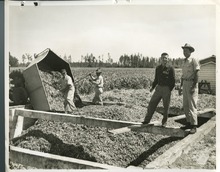 hccfl_2387-Thumbnail Image.jpg