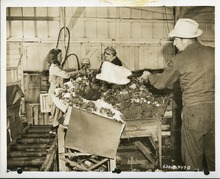 hccfl_2395-Thumbnail Image.jpg