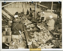 hccfl_2396-Thumbnail Image.jpg