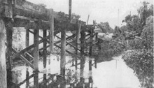 hccfl_2548-Thumbnail Image.jpg