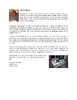 islandora_1436-Thumbnail Image.png